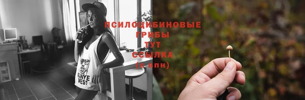 a pvp Баксан