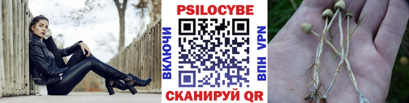 Купить  Новоуральск  Псилоцибиновые грибы прущие грибы 